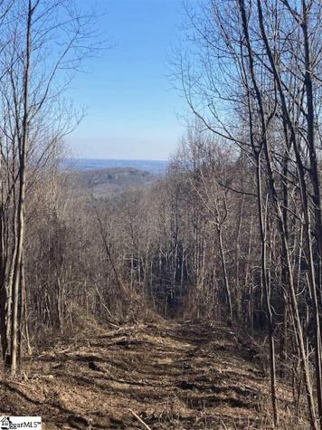 270 Foggy Cut Lane Landrum SC 29356