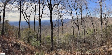 207 Night Crest Trail Travelers Rest SC 29690