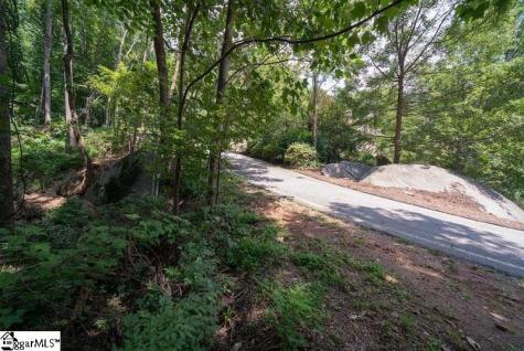 9 Pine Shadows Lane Landrum SC 29356