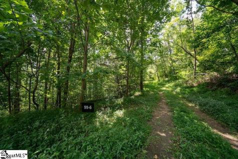 9 Pine Shadows Lane Landrum SC 29356