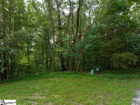 9 Pine Shadows Lane Landrum SC 29356