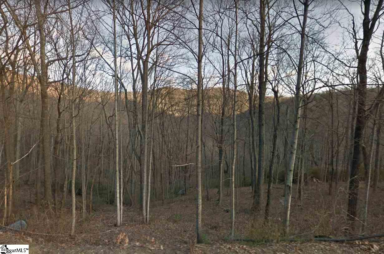 Outcrop Trail Landrum SC 29356