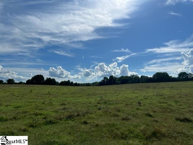 1324 Easy Road Laurens SC 29360
