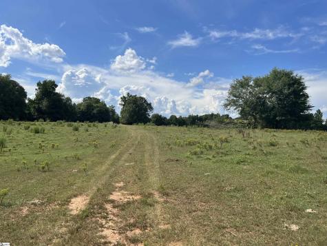 1324 Easy Road Laurens SC 29360