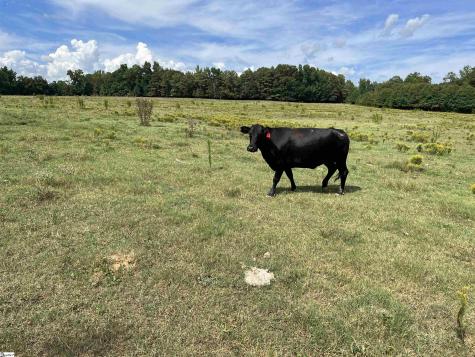 1324 Easy Road Laurens SC 29360