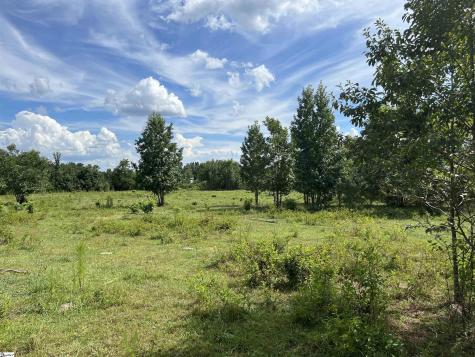 1324 Easy Road Laurens SC 29360