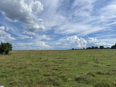 1324 Easy Road Laurens SC 29360