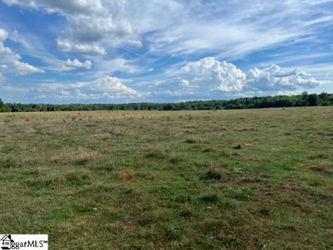 1324 Easy Road Laurens SC 29360