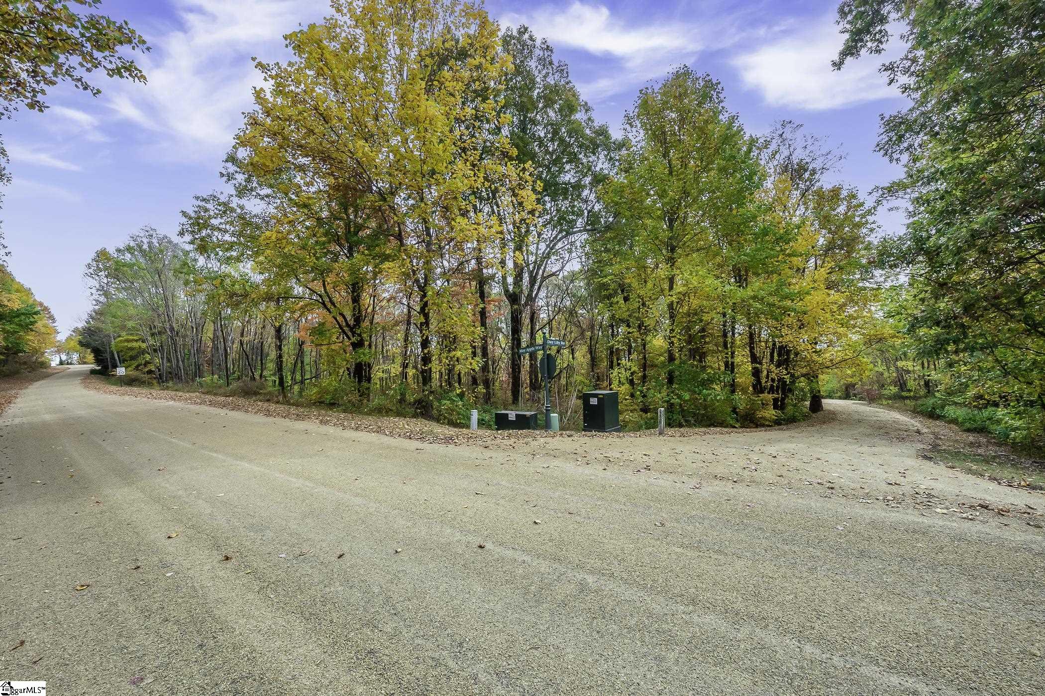 00 May Apple Way Landrum SC 29356