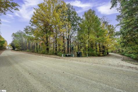 00 May Apple Way Landrum SC 29356