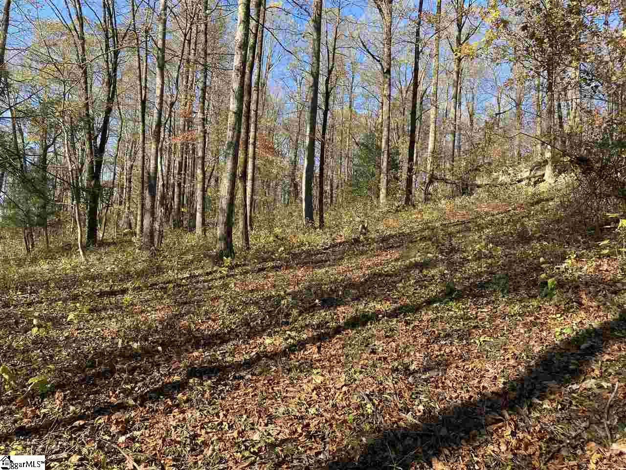 194 Catnip Trail Landrum SC 29356