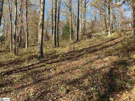 194 Catnip Trail Landrum SC 29356