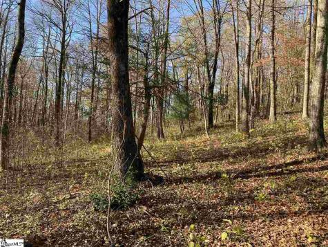 194 Catnip Trail Landrum SC 29356