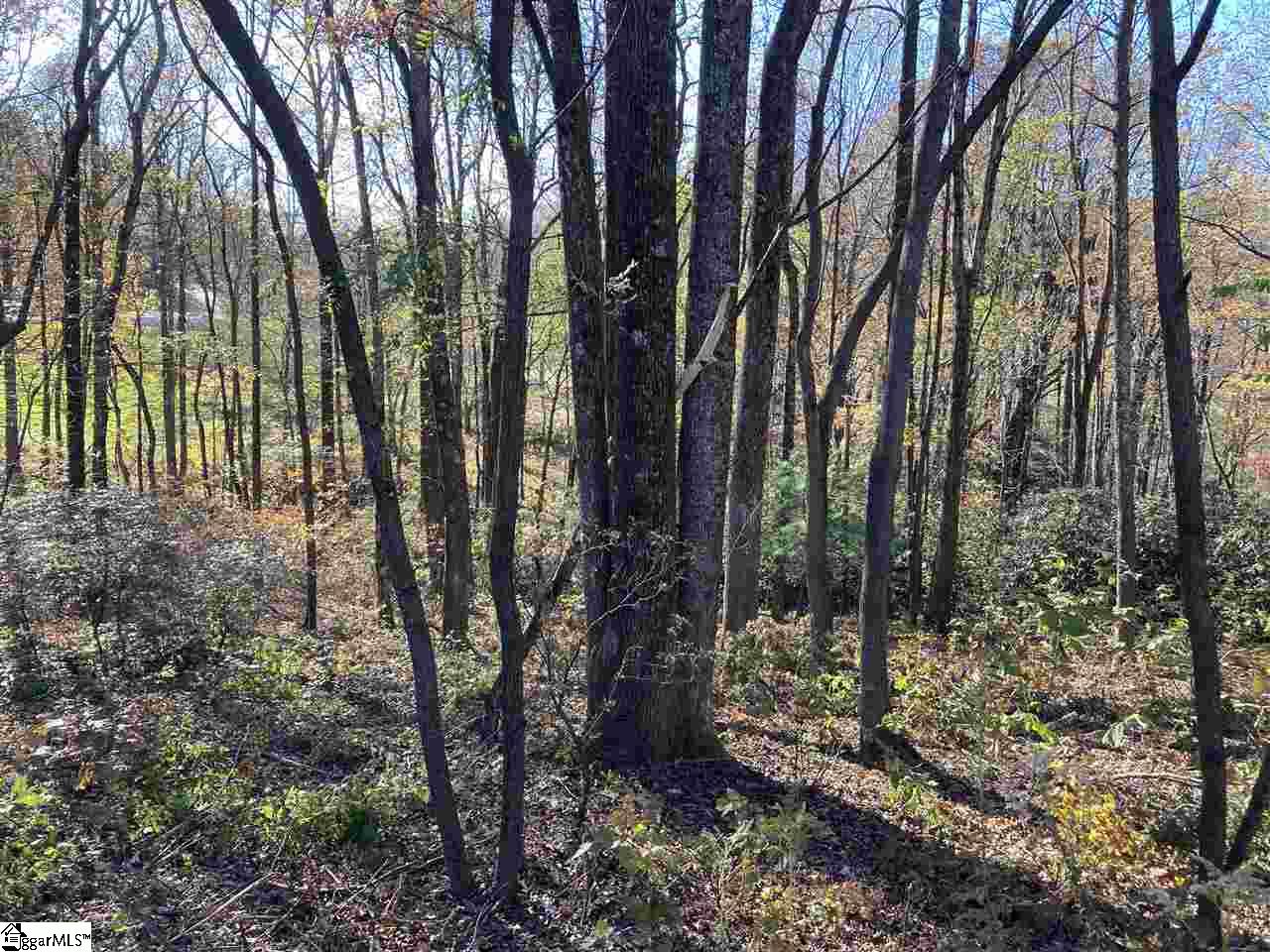 The Cliffs Parkway Landrum SC 29356