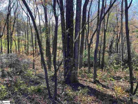 The Cliffs Parkway Landrum SC 29356
