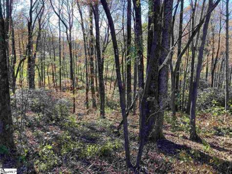 The Cliffs Parkway Landrum SC 29356